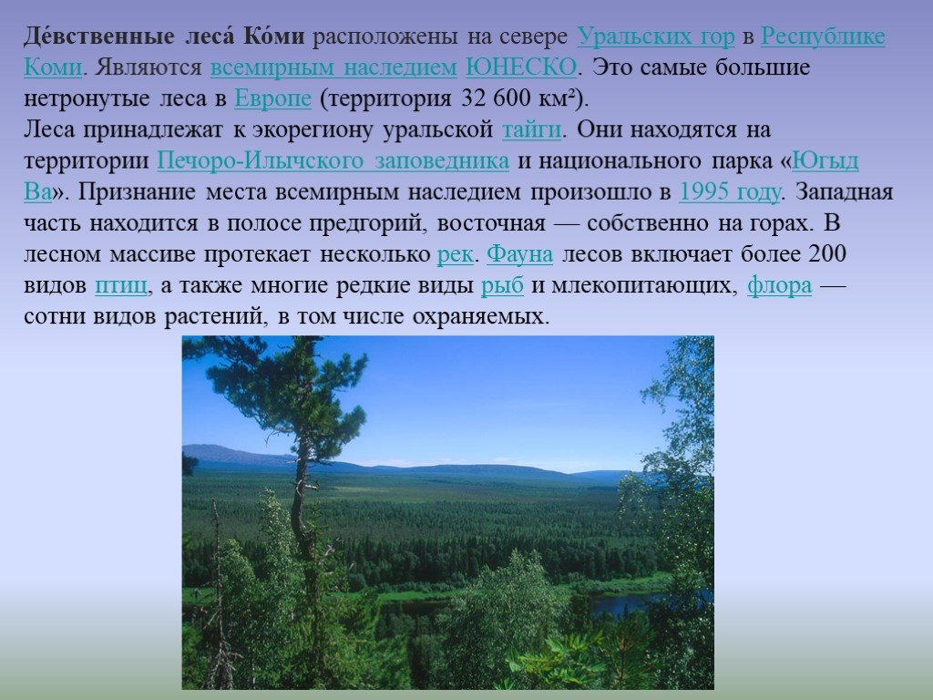 Всемирное наследие юнеско презентация россии. Леса Коми наследие ЮНЕСКО. Девственные леса Коми памятники природы. Всемирное природное наследие девственные леса Коми. Девственные леса ЮНЕСКО.