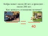Кобра живет около 40 лет, а крокодил – около 200 лет. Как записать отношение величин? 200 40