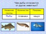 Чем рыбы отличаются от других животных? плавники чешуя