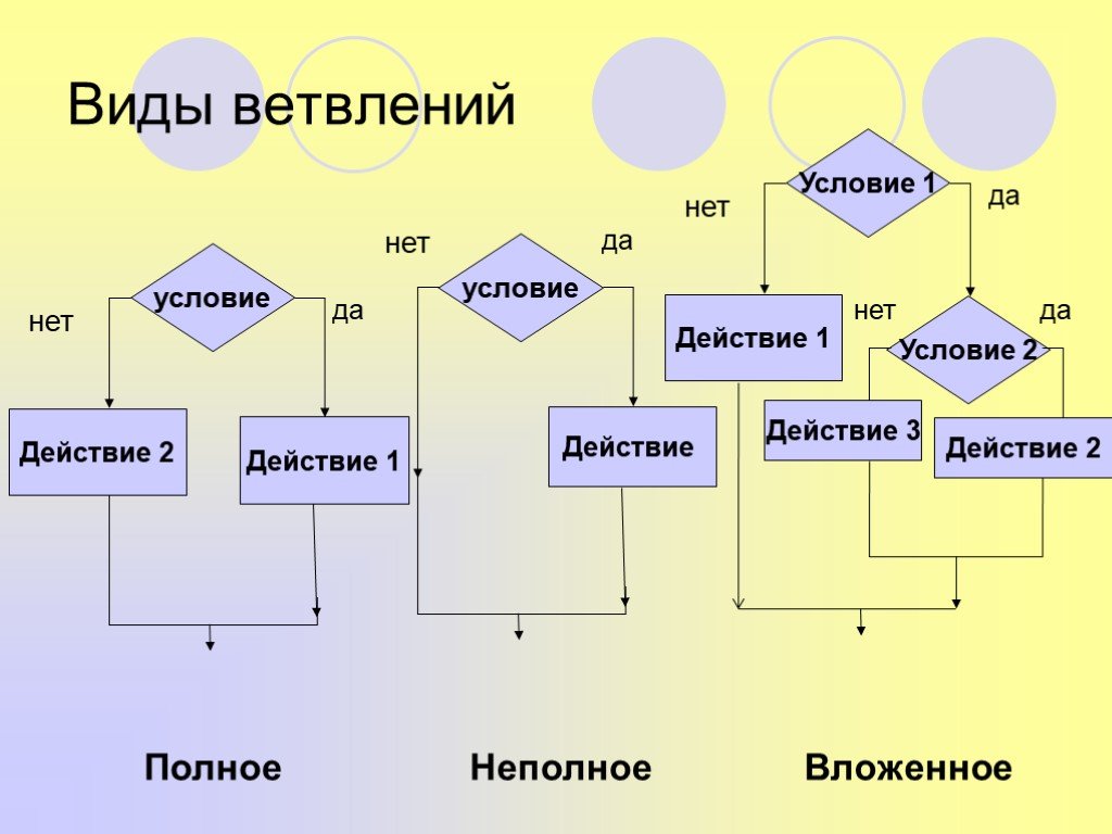 Полное действие. Типы ветвления Информатика. Виды ветвления в информатике. Ветвление бывает в информатике. Разновидности ветвлений Информатика.