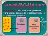 Иммунитет. Иммунитет – это защитная реакция организма, связанная с фагоцитозом и выработкой антител. Чужеродные тела Антитела