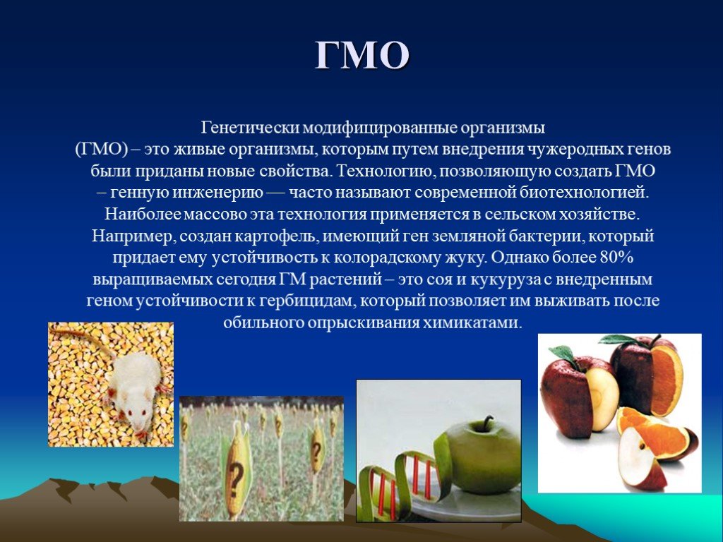 Презентация генетически модифицированные организмы