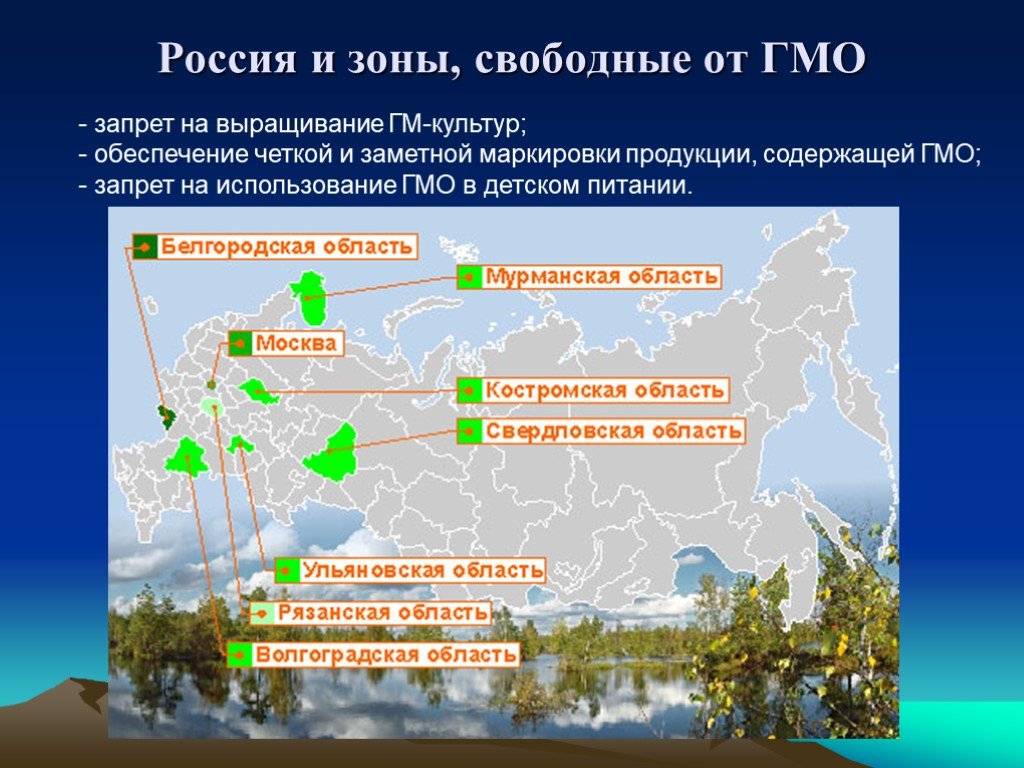 Запретили гмо. Зоны свободные от ГМО. Зоны свободные от ГМО В мире. Зоны свободные от ГМО В России. Зоны свободные от ГМО карта.