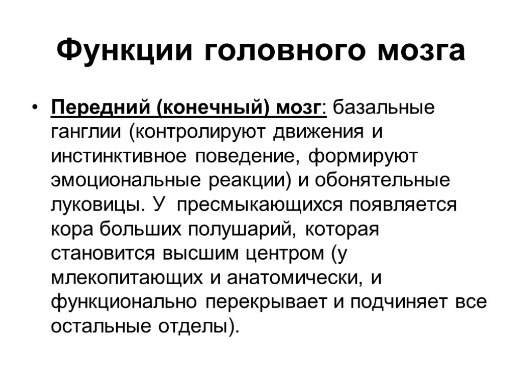 Конечная функция. Передний мозг функции. Функции конечного мозгамозга. Функции переднего могза.