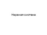 Нервная система