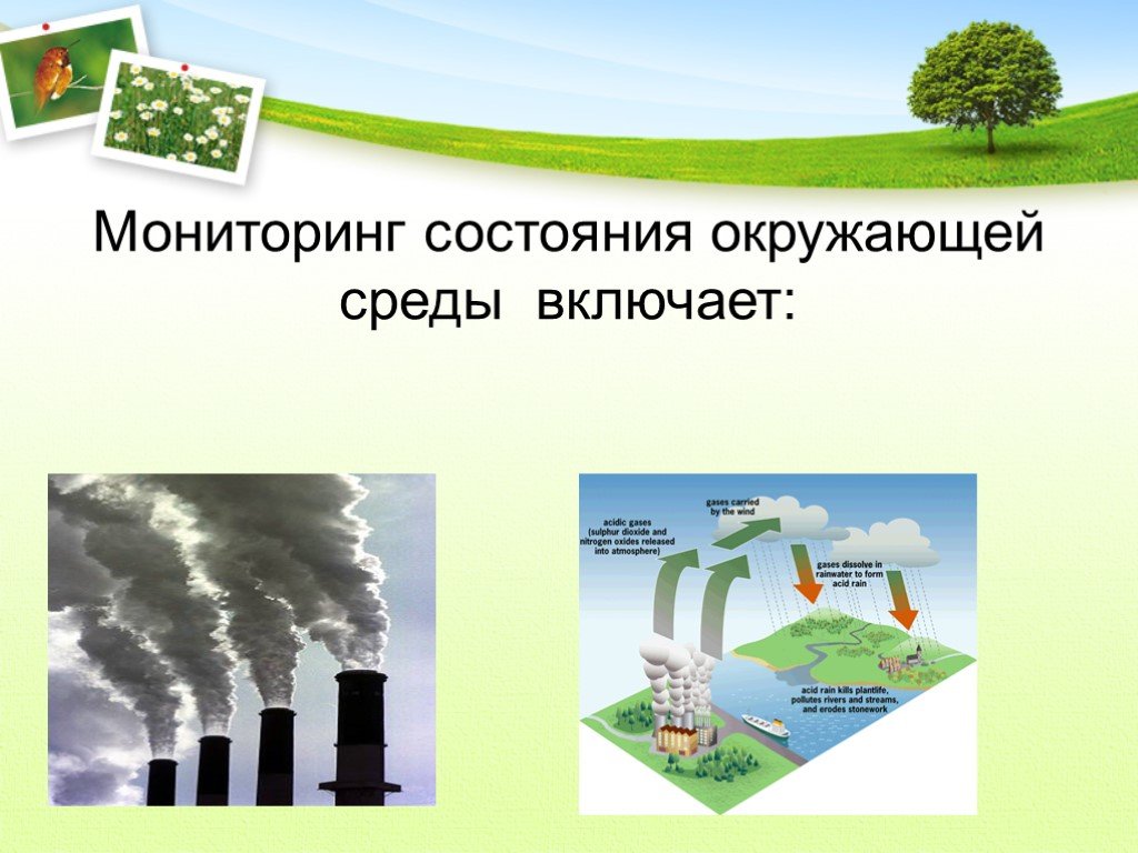 Мониторинг экологической среды. Мониторинг состояния окружающей среды. Мониторинг загрязнения окружающей среды. Мониторинг и прогнозирование состояния окружающей среды. Мониторинг состояния окружающей среды включает:.