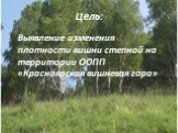 Цель: Выявление изменения плотности вишни степной на территории ООПП «Красноярская вишневая гора»