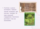 Египтяне сумели изготовить первый тонкий материал для письма - папирус из прессованной сердцевины болотного растения с тем же названием