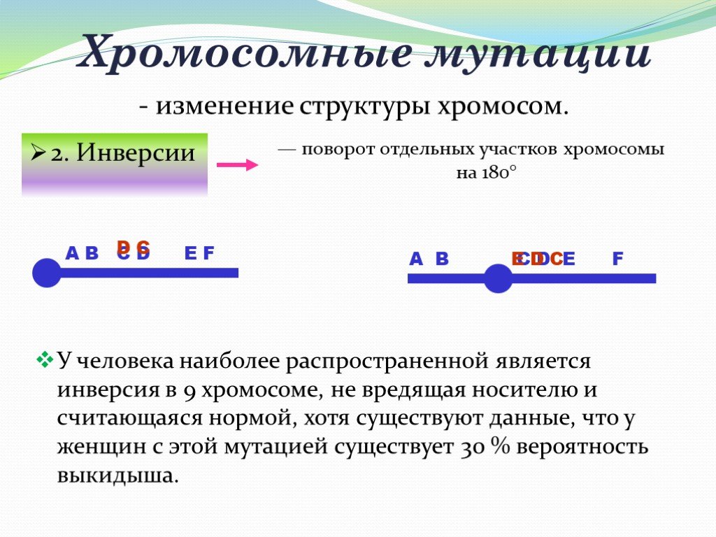 Хромосомные мутации