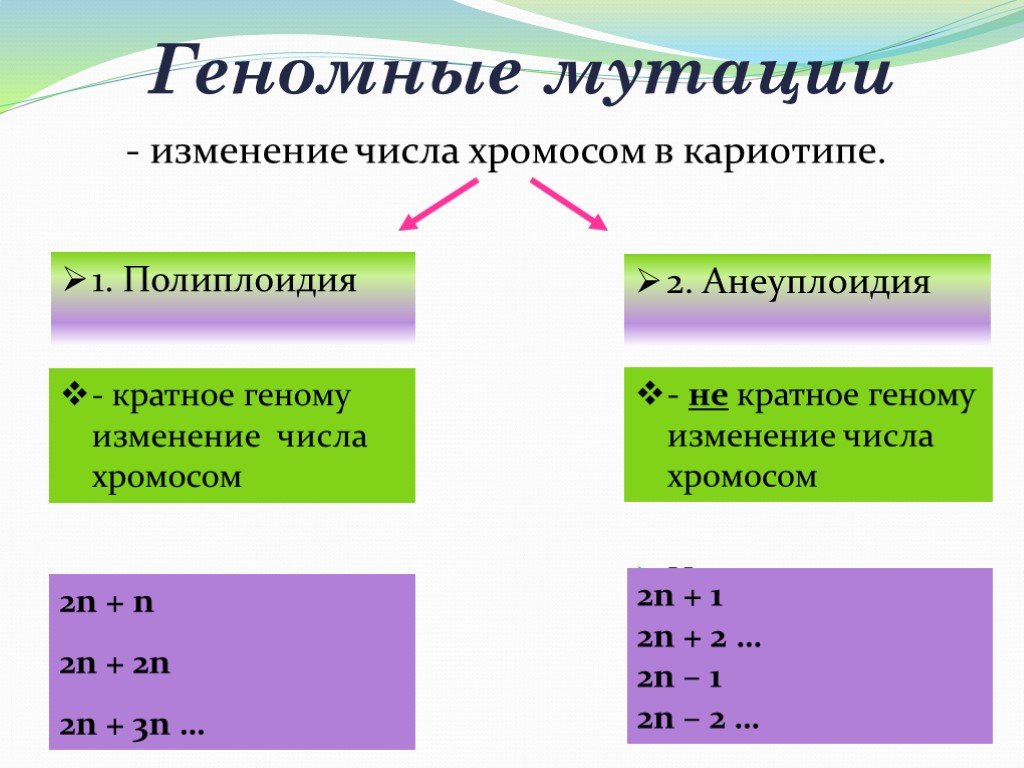 Презентация на тему мутационная изменчивость 10 класс