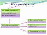 Изменчивость. 2. Генотипическая (неопределённая, наследственная). 2б) Мутационная Генные мутации. Хромосомные абберации. Геномные мутации