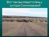 Вот так выглядит степь у хутора Сингиновский