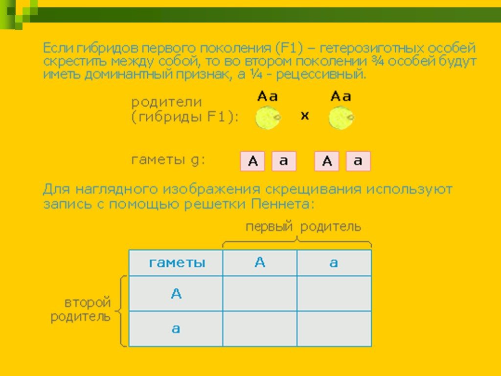 Генетика пола 10 класс биология презентация