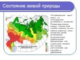 Состояние живой природы. На приведенной карте видно, что потенциальная устойчивость экосистем России практически всюду в той или иной степени снижена за счет замены коренных типов экосистем, менее устойчивыми антропогенными производными (агроценозами или вторичными лесами) или полным уничтожением пр