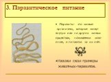 3. Паразитическое питание. Паразиты- это живые организмы, которые живут внутри или на других живых существах, называемых хозя- ином, и питаются за их счёт. Назови свои примеры животных-паразитов.