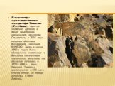 Петро́глифы археологи́ческого ландша́фта Тамгалы́ (Танбалы́) — один из наиболее древних и ярких памятников наскального искусства Семиречья, с 2004 года является объектом Всемирного наследия ЮНЕСКО. Здесь в конце 1950-х годов было обнаружено святилище с большим количеством наскальных рисунков, его из