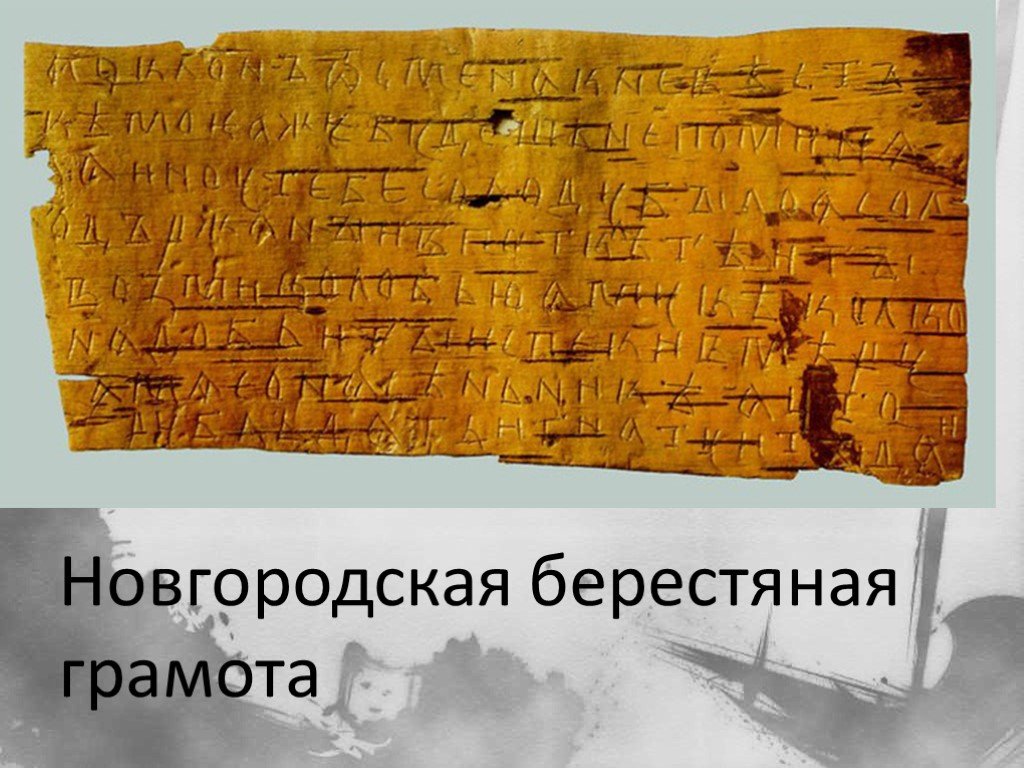 Берестяные грамоты новгорода. Новгородская берестяная грамота 12 век. Новгородские берестяные грамоты 12-13 веков. Новгородские грамоты на бересте. Открытие берестяных грамот.