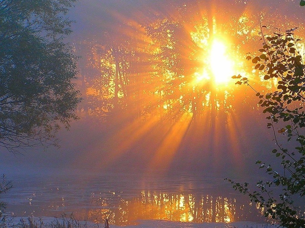 Новый день новые чудеса. Рассвет солнца. Утро солнце. Утреннее солнце. Утро рассвет.