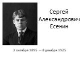 Сергей Александрович Есенин. 3 октября 1895 — 8 декабря 1925