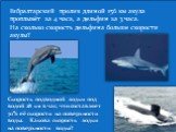 Скорость подводной лодки под водой 28 км в час, что составляет 70% её скорости на поверхности воды. Какова скорость лодки на поверхности воды? Гибралтарский пролив длиной 156 км акула проплывёт за 4 часа, а дельфин за 3 часа. На сколько скорость дельфина больше скорости акулы?