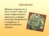 Магнетит. Обычно встречается в виде мелких зерен, но может образовывать кристаллы в форме октаэдра. Встречается в кварцитах и кристаллических сланцах.