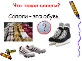 Что такое сапоги? Сапоги – это обувь.