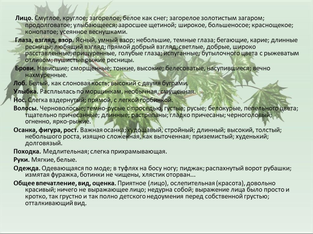 Сочинение характеристика человека 8 класс. Характеристика человека русский язык. План характеристики человека русский язык. Характеристика человека по плану. План описания характеристики человека.