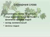 Словарные слова. устремлены прямо на зрителя лицо широкое книзу, как бывает у физически крепких людей взгляд внимательный волосы седые