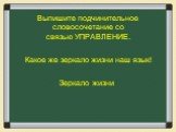 Выпишите подчинительное словосочетание со связью УПРАВЛЕНИЕ. Какое же зеркало жизни наш язык! Зеркало жизни