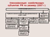 Классификация хозяйствующих субъектов РФ по размеру (2007 г.). Хозяйствующие субъекты РФ