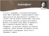 Ксенофонт. Ксенофонт засуджував політичний і економічний устрій Афін та ідеалізував порядки аграрної Спарти, недооцінюючи такі види діяльності, як ремесло й торгівля. Саме він вперше проаналізував поділ праці як економічну категорію, розкрив протилежність фізичної та розумової праці, вказав на відмі