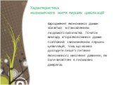 Характеристика економічного життя перших цивілізацій. Зародження економічної думки збігається зі становленням людського суспільства. Початок викладу історії економічної думки пов’язаний з виникненням перших цивілізацій, тому що можна дослідити лише ті питання економічного мислення давнини, які були 