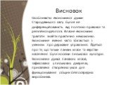 Висновок. Особливістю економічної думки Стародавнього світу була її не диференційованість від політико-правової та релігійної ідеології. Власне економічні трактати знайти практично неможливо. Економічне вчення часто збігаються з ученням про державне управління. Йдеться про те, що тільки панівні клас