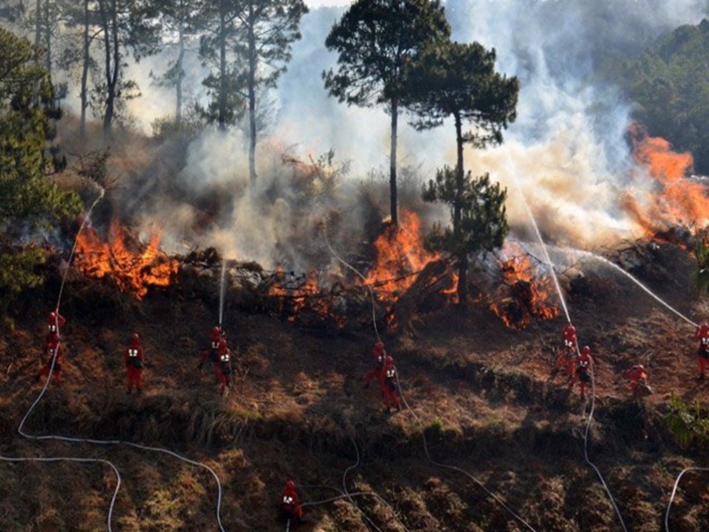 Расширенные пожары. Тушение лесных пожаров. Лесные пожары в Китае. Природные пожары Китая. Лесной пожар ЛЕНОБЛАСТЬ.