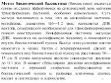 Метод биологической баллистики (биолистики) является одним из самых эффективных на сегодняшний день методов трансформации растений, особенно однодольных. Суть метода заключается в том, что на мельчайшие частички вольфрама, диаметром 0,6—1,2 мкм, напыляется ДНК вектора, содержащего необходимую для тр