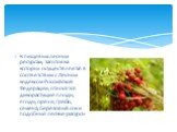 К пищевым лесным ресурсам, заготовка которых осуществляется в соответствии с Лесным кодексом Российской Федерации, относятся дикорастущие плоды, ягоды, орехи, грибы, семена, березовый сок и подобные лесные ресурсы