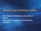 Животные морских глубин. Как старым морякам, живущим на покое, Всё снится по ночам пространство голубое …