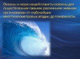 Океаны и моря нашей планеты освоены для существования самыми различными живыми организмами от глубочайших многокилометровых впадин до поверхности.