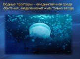 Водные просторы – ее единственная среда обитания, медуза может жить только в воде.