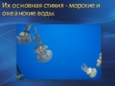 Их основная стихия - морские и океанские воды.