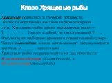 Хрящевые появились в глубокой древности. Челюсти образованы костями первой жаберной дуги. Хрящевые рыбы имеют выраженное рыло —?_________. Скелет слабый, не окостеневший,?___. Отсутствуют жаберные крышки и плавательный пузырь. Чешуя плакоидная в виде шипа выходит наружу,покрыта твердым ?______ вещес