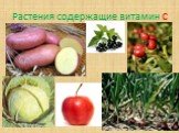 Растения содержащие витамин С