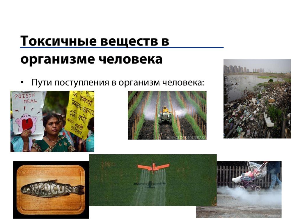 Укажите токсическое вещество. Токсичные вещества в организме человека. Пути поступления токсичных веществ в организм человека:. Способы поступления токсического вещества в организм человека.. Перечислите пути поступления токсических веществ в организм.