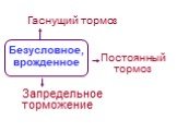 Безусловное, врожденное. Гаснущий тормоз. Постоянный тормоз. Запредельное торможение