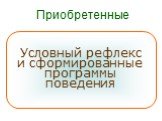 Условный рефлекс и сформированные программы поведения. Приобретенные