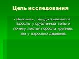 Цель исследования. Выяснить, откуда появляется поросль у срубленной липы и почему листья поросли крупнее, чем у взрослых деревьев.