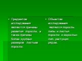 Предметом исследования являются причины развития поросли, а также причины более крупных размеров листьев поросли. Объектом исследования является поросль липы и листья поросли и взрослых лип, растущих рядом.