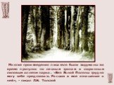 Многие произведения писателя были задуманы во время прогулок по лесным тропам и старинным липовым аллеям парка. «Без Ясной Поляны трудно могу себе представить Россию и мое отношение к ней», - писал Л.Н. Толстой