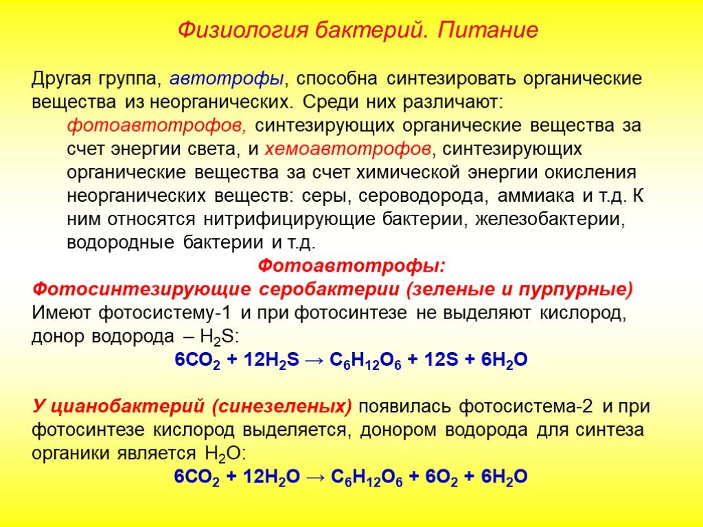 Органический синтез из неорганических. Серобактерии. Синтез органических веществ из неорганических. Фотосинтезирующие зеленые и пурпурные серобактерии. Фотосинтез серобактерий.