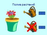 Полив растений +25°С +10°С